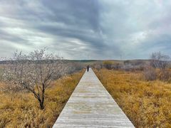 -塞罕坝国家级自然保护区