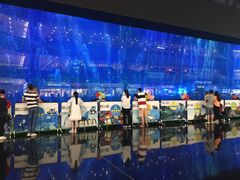 -成都浩海立方海洋公园