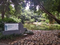 -成都市活水公园