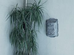 -中国油画院咖啡馆