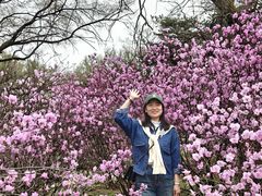 -沈阳植物园