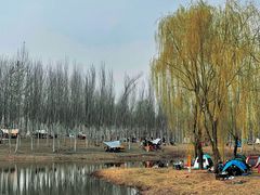 -东郊湿地公园