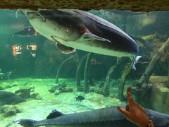 -华夏文旅海洋公园