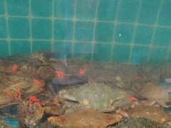-锅老头铁锅炖•大锅蒸汽海鲜(韩乐坊店)