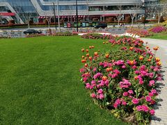 -北外滩滨江绿地