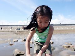 -南汇嘴观海公园