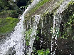 -瓦屋山景区