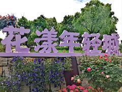 -春花秋色城市公园