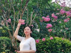 -杭州城北体育公园