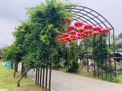 -鹅湖玫瑰文化园