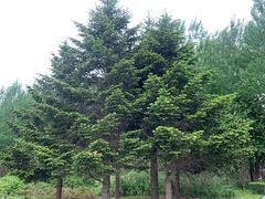 -长春公园(普阳街道)