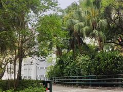 -香港大学