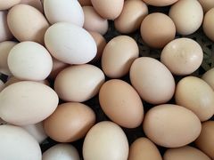 -马陆小张葡萄园农家乐