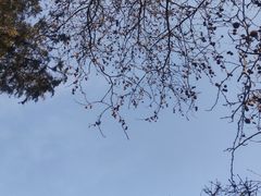 -大连圣亚海洋世界