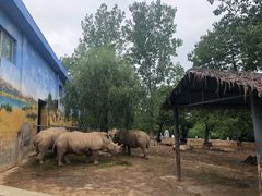 -西安秦岭野生动物园