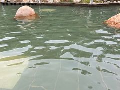 -山湖温泉