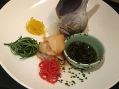 -常州环球恐龙城维景国际大酒店