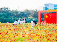 -南京信息职业技术学院