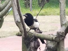 -上海市龙华烈士陵园