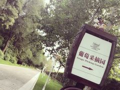 -北京张裕爱斐堡酒庄