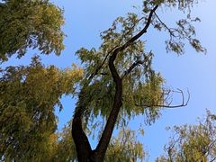 -森林公园(尖草坪区)