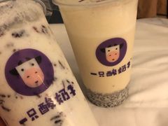 -一只酸奶牛(八一路店)