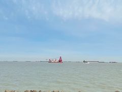 -上海滨江森林公园