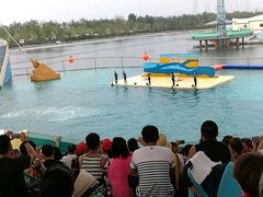 -秦皇岛乐岛海洋王国