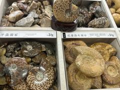 -中国地质大学逸夫博物馆