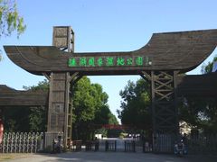 -溱湖国家湿地公园