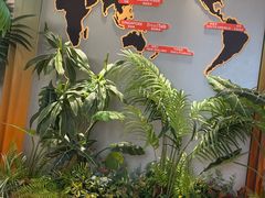 -BreadTalk面包新语·烘焙蛋糕(金光华广场店)