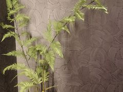 -宽坐·友谊宾馆店