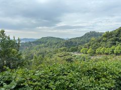 -火炉山森林公园