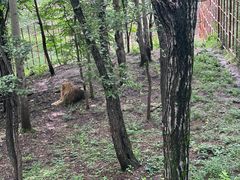 -哈尔滨北方森林动物园