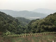 -广州市帽峰山景区