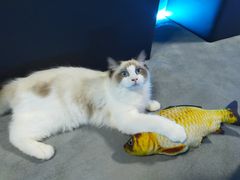 -零纪元VR体验馆·桌游(黄浦店)