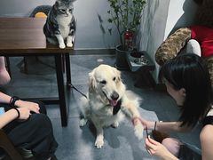 -咖法森林·咖啡  酒吧(天河店)