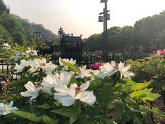 -幕燕滨江·长江观音景区