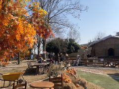 -HERRE·FARM 赫尔露营农场·团建聚会包场