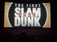 -卢米埃影城(长楹天街IMAX激光店)
