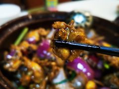 -胡须佬鸡煲四季火锅(龙珠大道店)
