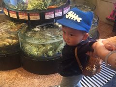 -陶陶居海鲜酒家(新马路店)
