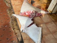 -尼甘布海鲜市场