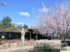 -春风习习