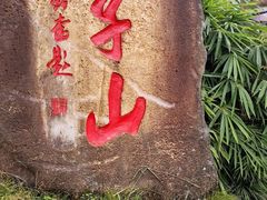 -竹苑农庄