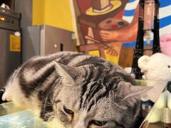 -咖法森林·咖啡  酒吧(天河店)