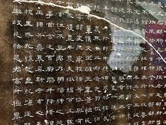-西安碑林博物馆