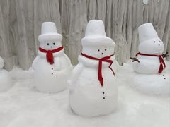 -广州热雪奇迹