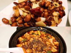 -陈麻婆豆腐总店