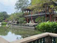 -顺峰山公园